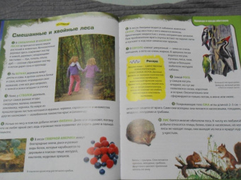 Вероника Пеллегрини: Вопросы и ответы обо всем на свете