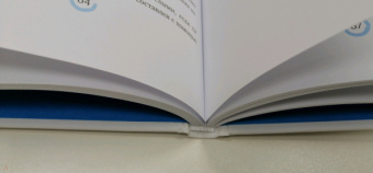 Гарсиа, Миральес: Икигай для юных путешественников по жизни