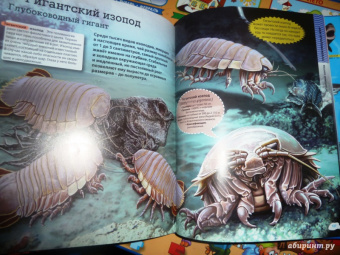 Кармен Родригес: Подводный мир. Иллюстрированная энциклопедия