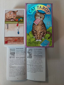 Котт Линн: Cat Tarot. Таро Котиков, 78 карт и руководство в подарочном футляре