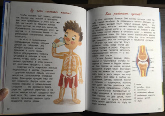 Толмачев, Маницкая: О человеке