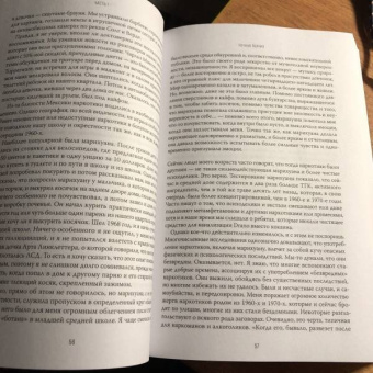 Дэвид Шефф: Красивый мальчик. Правдивая история отца, который боролся за сына