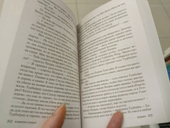 Камилла Лэкберг: Ведьма
