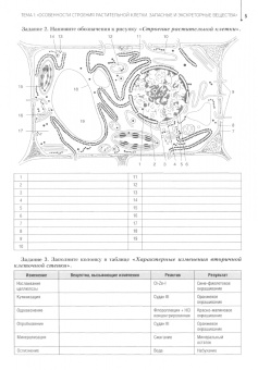 Светлана Зайчикова: Ботаника. Рабочая тетрадь
