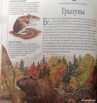 Тина Канделаки: Гигантская энциклопедия живого мира