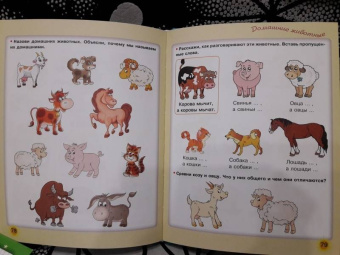 Олеся Жукова: Большая книга по развитию речи
