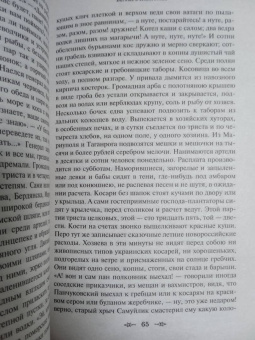 Григорий Данилевский: Княжна Тараканова