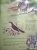 В. Владимиров: Какие птицы самые красивые?