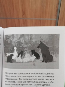 Олег Надточей: Кот, собака и гусь