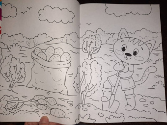 Раскраска А4. В огороде