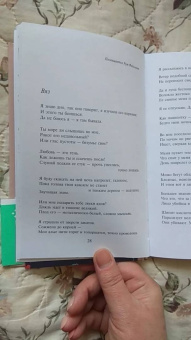 Сильвия Плат: Ариэль