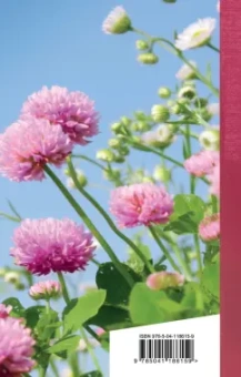 Эдуард Асадов: Когда стихи улыбаются