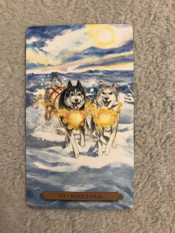 Конуэй, Найт, Мюллер: Комплект:  Таро магических собак+Таро Изменения Формы