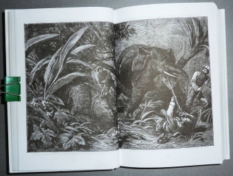 Луи Буссенар: Похитители бриллиантов