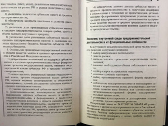 Виктор Шитов: Основы предпринимательской деятельности. Учебное пособие