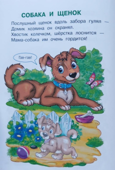 Ирина Шестакова: Домашние животные