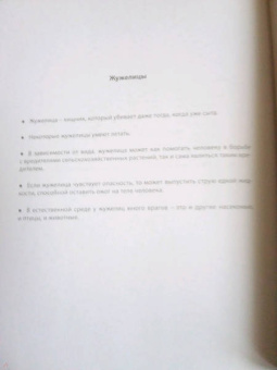 Соедини по точкам. Насекомые