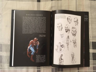 Кари Эндрюс: Человек-Паук. Стража