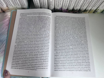 Шарлотта Бронте: Шерли