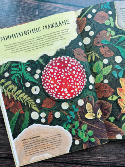 Анна Янкелевич: Королевство насекомых. Интерактивная книга с окошками о жизни муравьев, ос и пчел