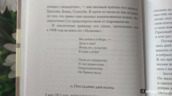Игорь Северянин: Уснувшие весны. Критика. Мемуары. Скитания