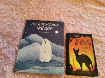 Юлия Мартыщенко: Медвежонок Фёдор. Путь домой