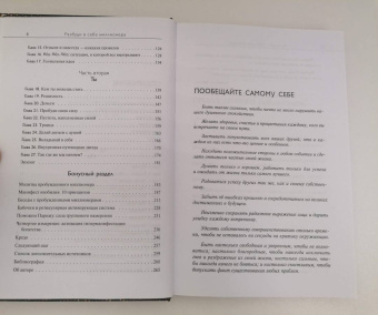 Джо Витале: Разбуди в себе миллионера. Манифест богатства и процветания