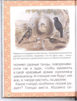 Инна Гамазкова: Гнезда, норки, домики