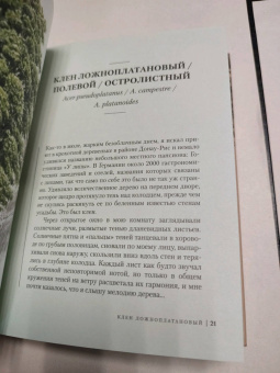 Андреас Хазе: Деревья. Как жизни человека и дерева переплетены друг с другом