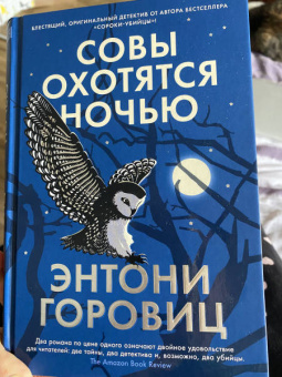 Энтони Горовиц: Совы охотятся ночью