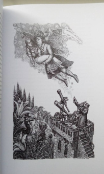 Гофман Эрнст Теодор Амадей: Повелитель блох