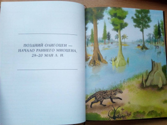 Станислав Дробышевский: Палеонтология антрополога. Иллюстрированный путеводитель в зверинец прошлого