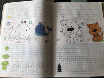 Умные клеточки. Линии и фигуры