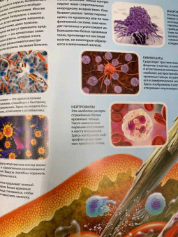 Маркус Джонсон: Тело человека. Виртуальная реальность