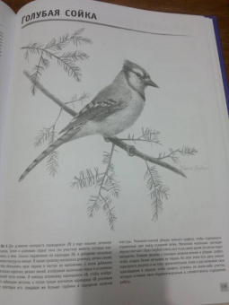 Ферраро, Меткалф, Ньюхолл: Основы каллиграфии и леттеринга