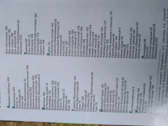 Владимир Бабенко: Животные рядом с нами