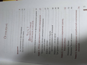 Мэтью Свейгарт: Путь Ци. Энергия жизни в вашем теле. Упражнения и медитации