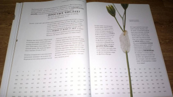 Барт Россел: Поразительные насекомые. Книга про подземных математиков, мастеров блефа, дружных кочевников, зомби