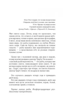 Моника Саболо: Саммер