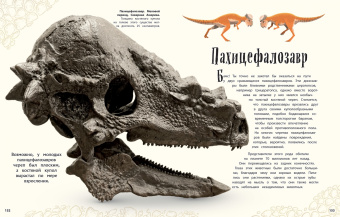 Анусия Чинсами-Тюран: Динозавры и другие доисторические животные. Энциклопедия