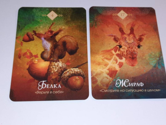Колетт Барон-Рид: The Spirit Animal Oracle. Духи животных. Оракул, 68 карт и руководство в подарочном оформлении