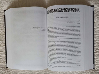 Дмитрий Скирюк: Жуга. Осенний лис