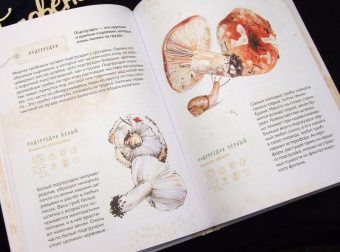 Михаил Вишневский: Грибы. Атлас-определитель