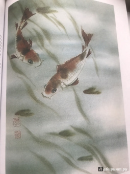 Джейн Эванс: Китайская тушь