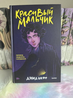 Дэвид Шефф: Красивый мальчик. Правдивая история отца, который боролся за сына
