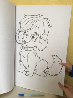 Maxi-раскраска. Санни дэй