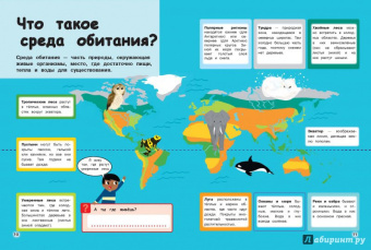 Стив Паркер: Дикие животные. Отправляйтесь в удивительный мир!