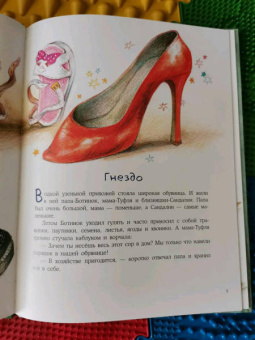 Надежда Форостян: Что творится в обувнице?