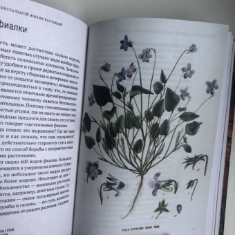 Майкл Аллаби: Скандальная правда о сексуальной жизни растений