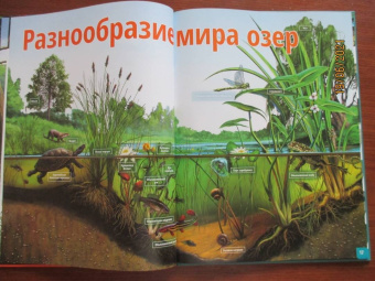 Жизнь животных. Реки и озера